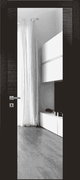 Дверь межкомнатная 4039 ТАН Зеркало. Цвет Таеда антрацит. Материал Таеда эмаль. Коллекция Avant. Картинка.