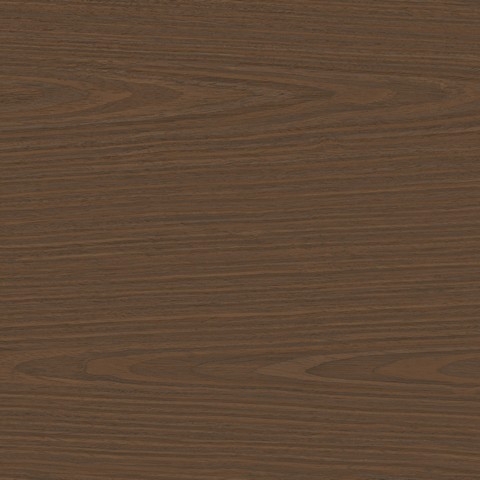 Дуб кофейный